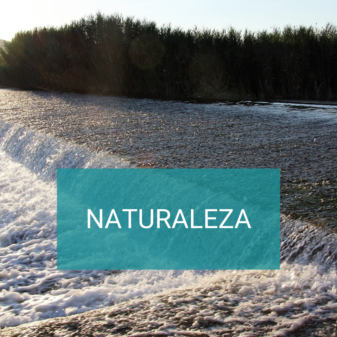 Naturaleza