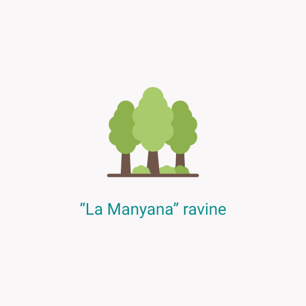 "La Manyana" ravine