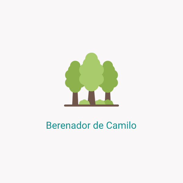 Berenador de Camilo